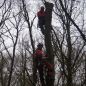Tree rescue - Rope Rescue Team VRU